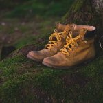 paire de chaussures de randonnée posée au pied d'un arbre